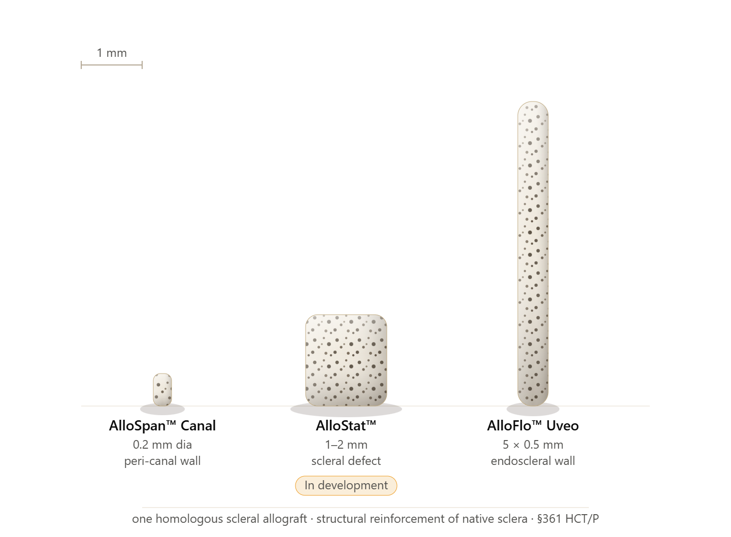 Scale comparison of AlloSpan Canal (0.2 mm peri-canal wall), AlloStat (1–2 mm scleral defect), and AlloFlo Uveo (5 × 0.5 mm endoscleral wall) — one homologous scleral allograft family