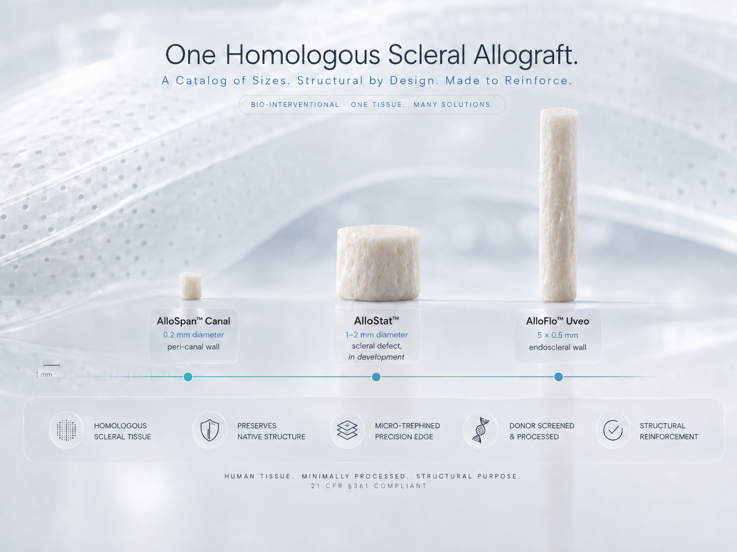 AlloSpan Canal, AlloStat, and AlloFlo Uveo — one homologous scleral allograft in three formats