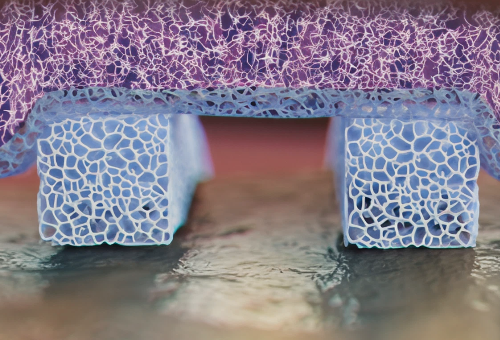AlloFlo Uveo scleral microstructure — porous collagen microstructure